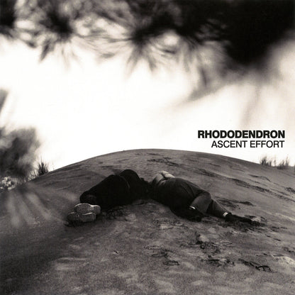 Rhododendron- Ascent Effort
