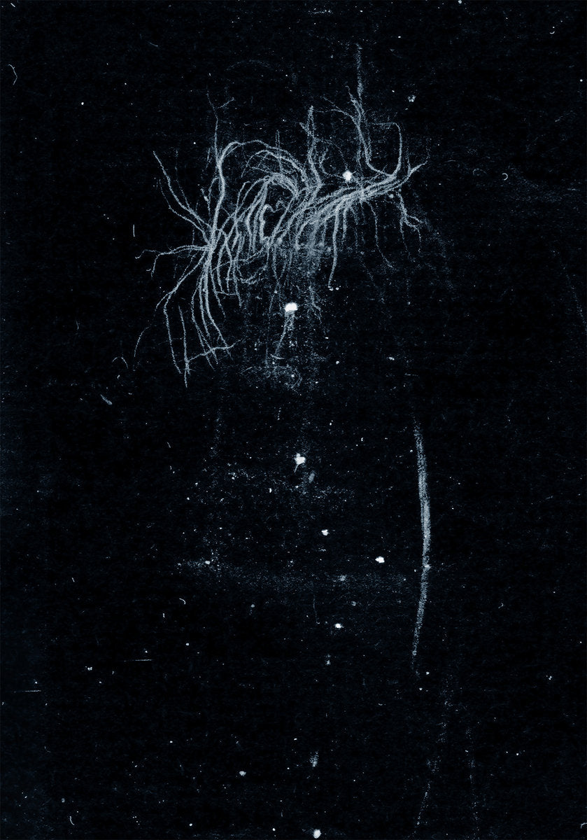 My Heart, An Inverted Flame- My Death Is More Beautiful Than Your Life