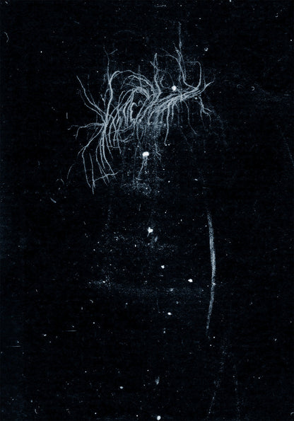 My Heart, An Inverted Flame- My Death Is More Beautiful Than Your Life