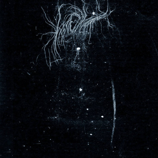My Heart, An Inverted Flame- My Death Is More Beautiful Than Your Life
