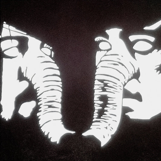 Death From Above 1979- Private Lives PREORDER OUT 1/29