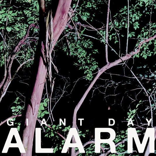 Giant Day- Alarm