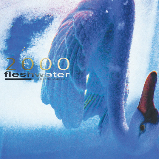Fleshwater- 2000: In Search Of The Endless Sky