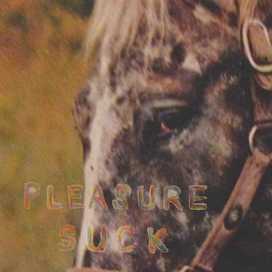 Spirit Of The Beehive- Pleasure Suck