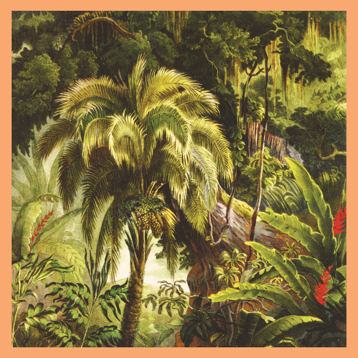 Xiu Xiu- La Foret