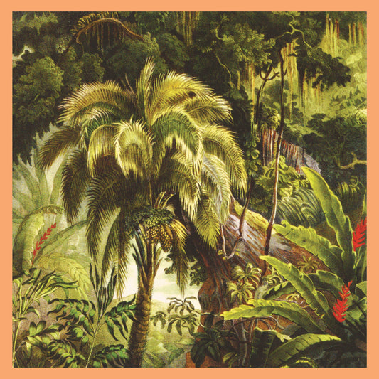 Xiu Xiu- La Foret
