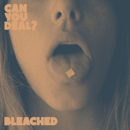 Bleached- Can You Deal?