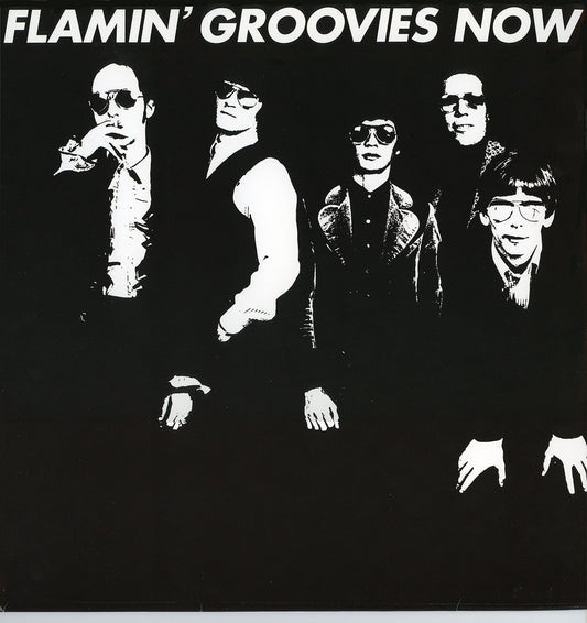 The Flamin' Groovies- Now