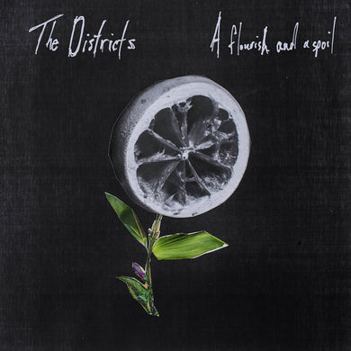 The Districts- A Flourish And A Spoil