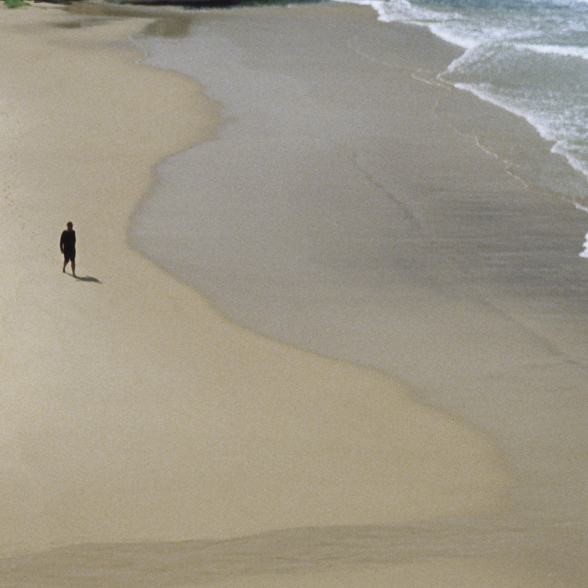 The Autumn Defense- Here And Nowhere