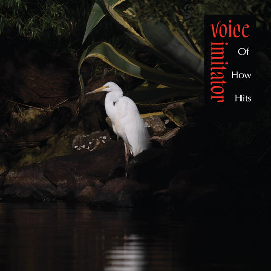 Voice Imitator- Of How Hits