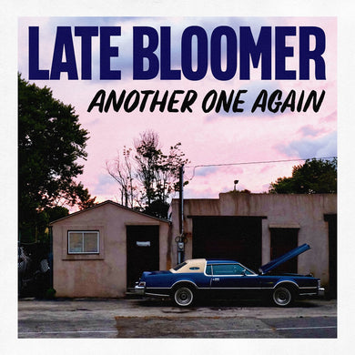 Late Bloomer- Another One Again