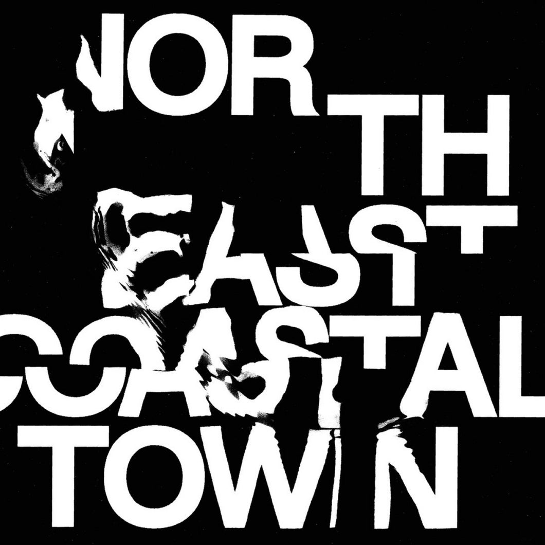 Life- North East Coastal Town