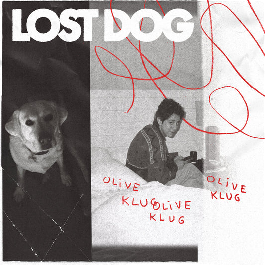 Olive Klug- Lost Dog