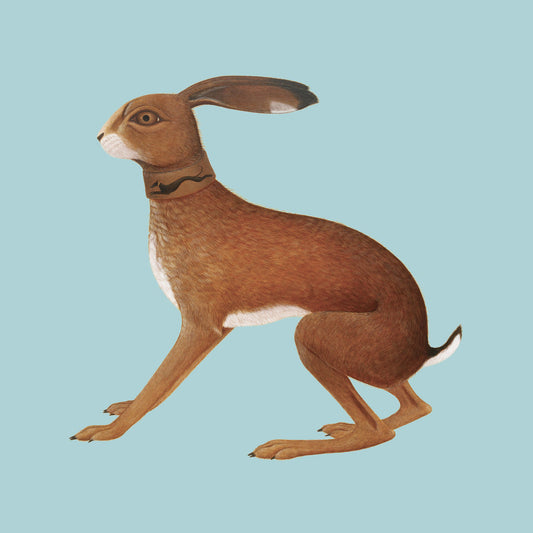 Yashti Bunyan- Lookaftering (Expanded)