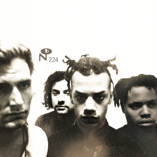 Majesty Crush- Butterflies Don't Go Away