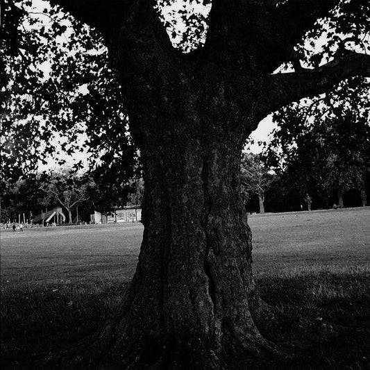 Archy Marshall [King Krule] - A New Place 2 Drown (Instrumentals)