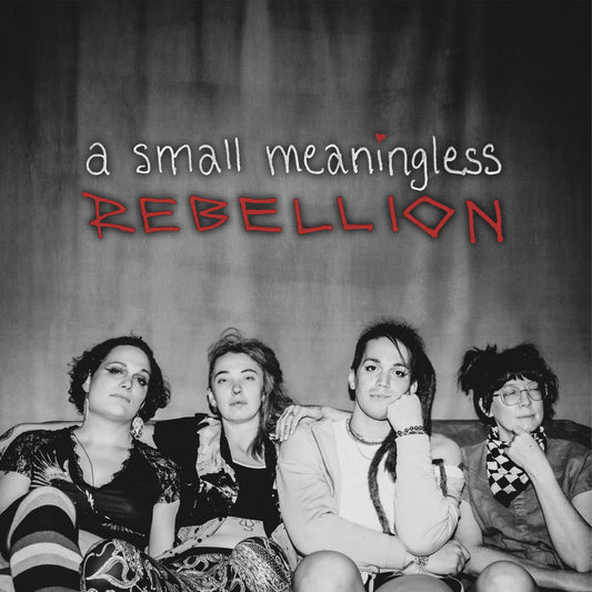 A Small Meaningless Rebellion- A Small Meaningless Rebellion