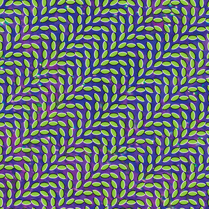 Animal Collective- Merriweather Post Pavilion (15th Anniversary Edition) PREORDER OUT 6/28