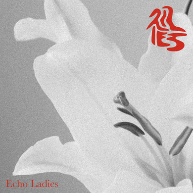 Echo Ladies- Lilies