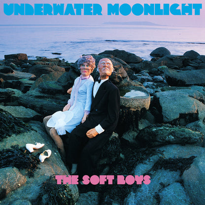 The Soft Boys- Underwater Moonlight (45th Anniversary Remaster)
