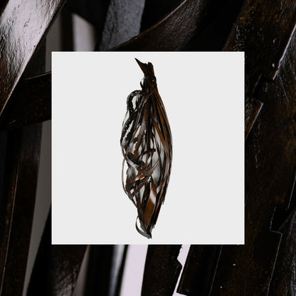 Into It. Over It.- Interesting Decisions