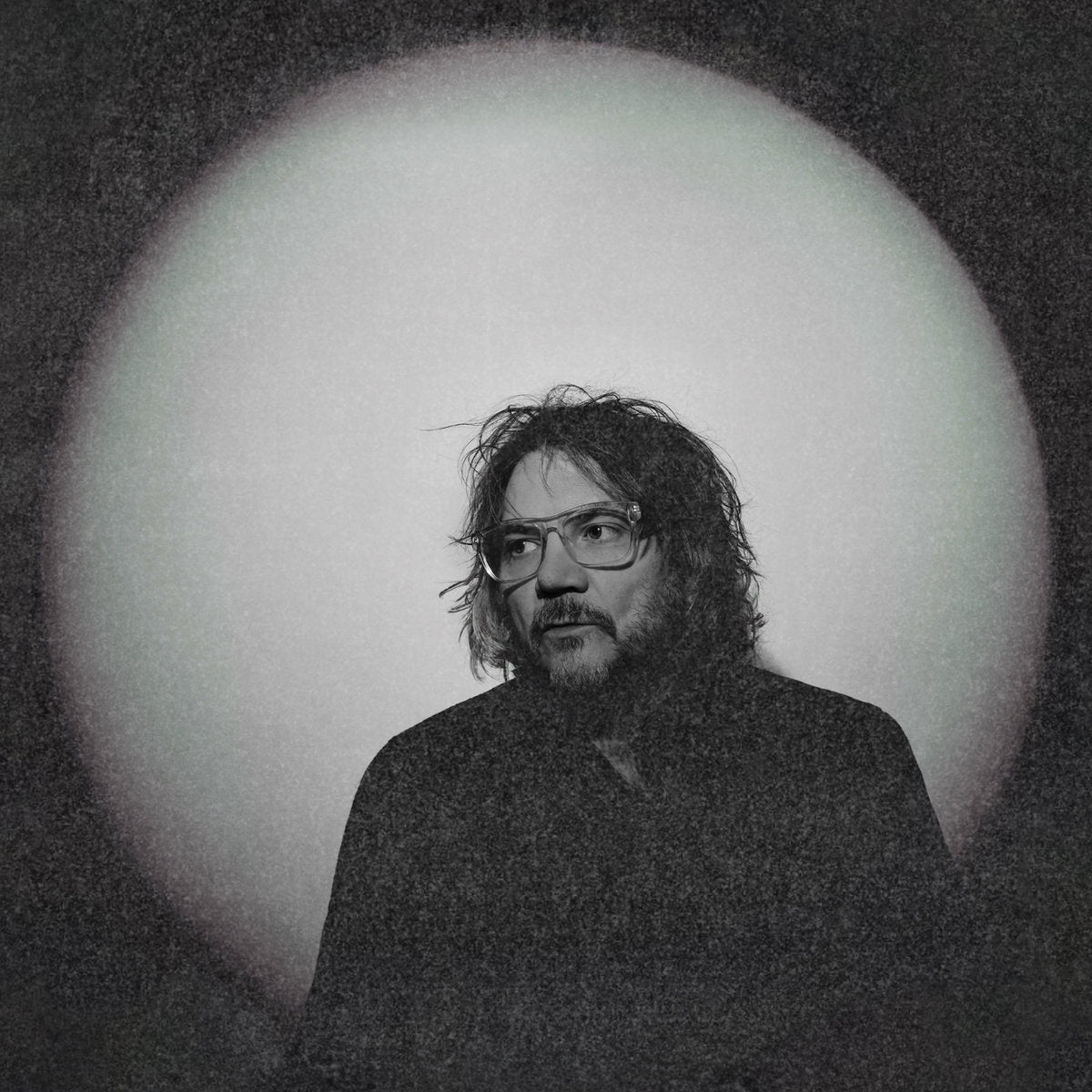 Jeff Tweedy- Twilight Override