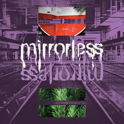 Mirrorless - Mirrorless