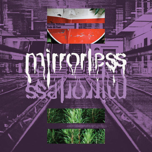 Mirrorless - Mirrorless