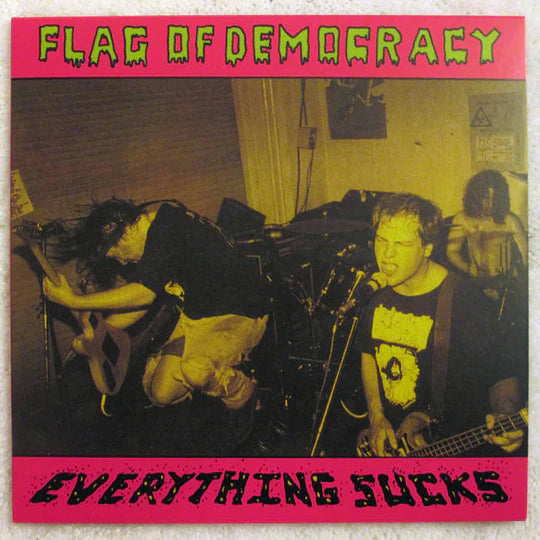 Flag Of Democracy- Everything Sucks