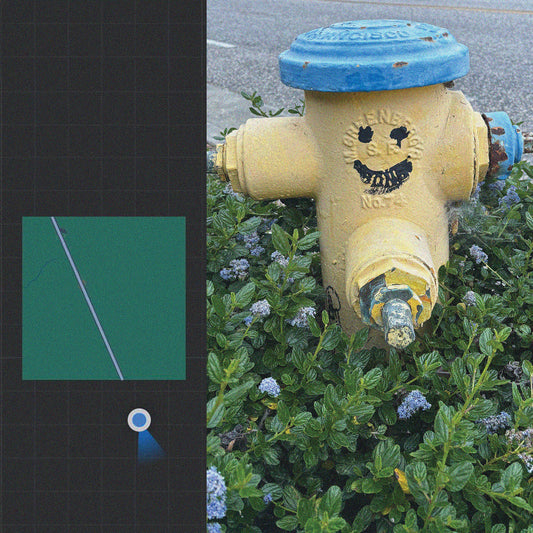 Chastity Belt / Holy Wave- That Guy / Time Crisis Too