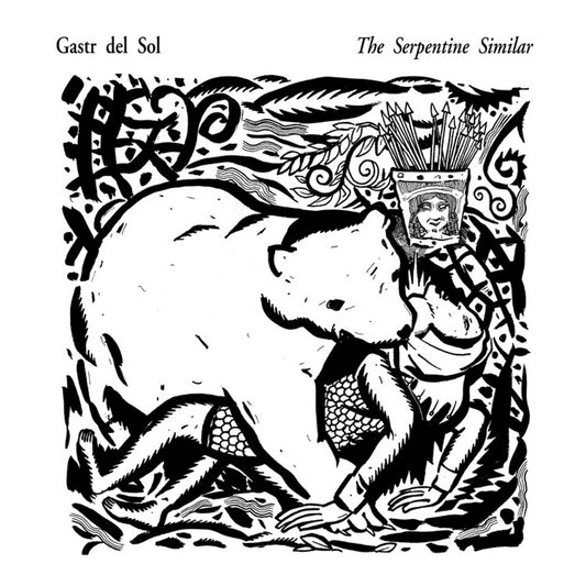 Gastr Del Sol- The Serpentine Similar