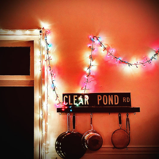 Kristin Hersh- Clear Pond Road