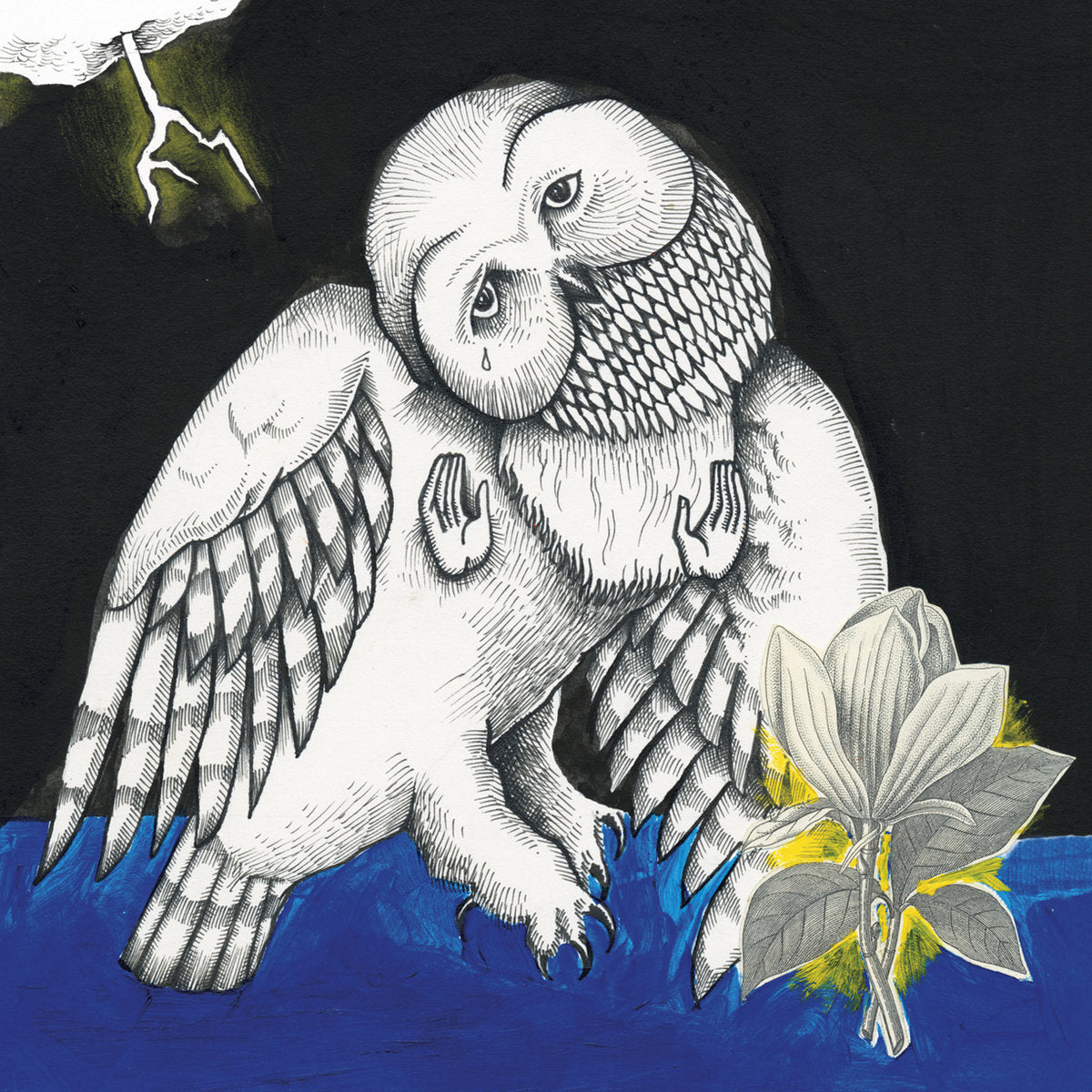 Songs: Ohia- Magnolia Electric Co.