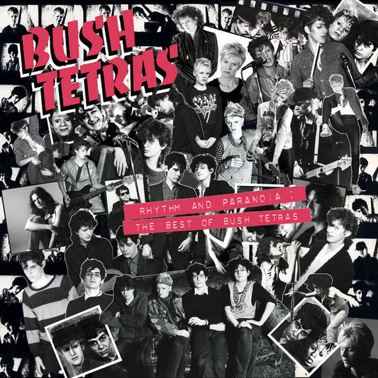 Bush Tetras- Rhythm & Paranoia: The Best Of Bush Tetras