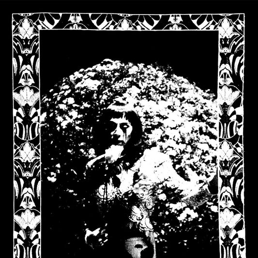 Cindy Lee- Model Express