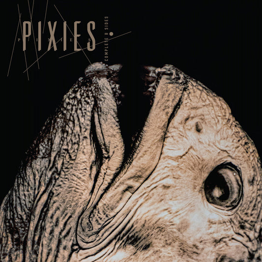 Pixies- Complete B Sides: 1988-97