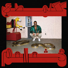 Load image into Gallery viewer, Shabazz Palaces- Robed In Rareness