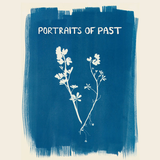 Portraits Of Past / Saetia- New Fragility