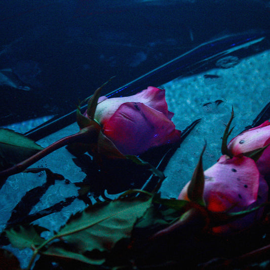 Skeleton Hands- Wake