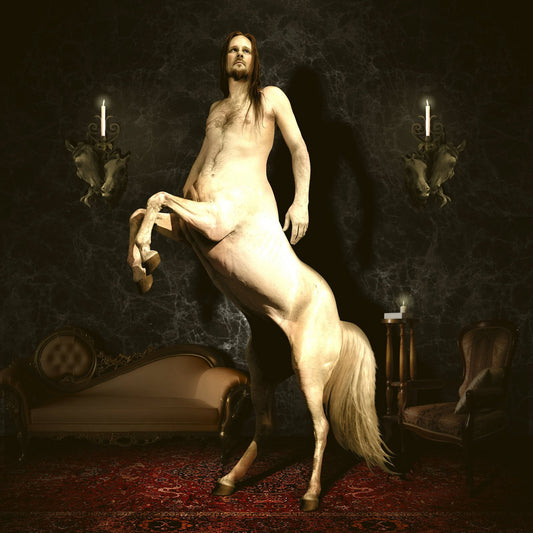 Venetian Snares- My Love Is A Bulldozer