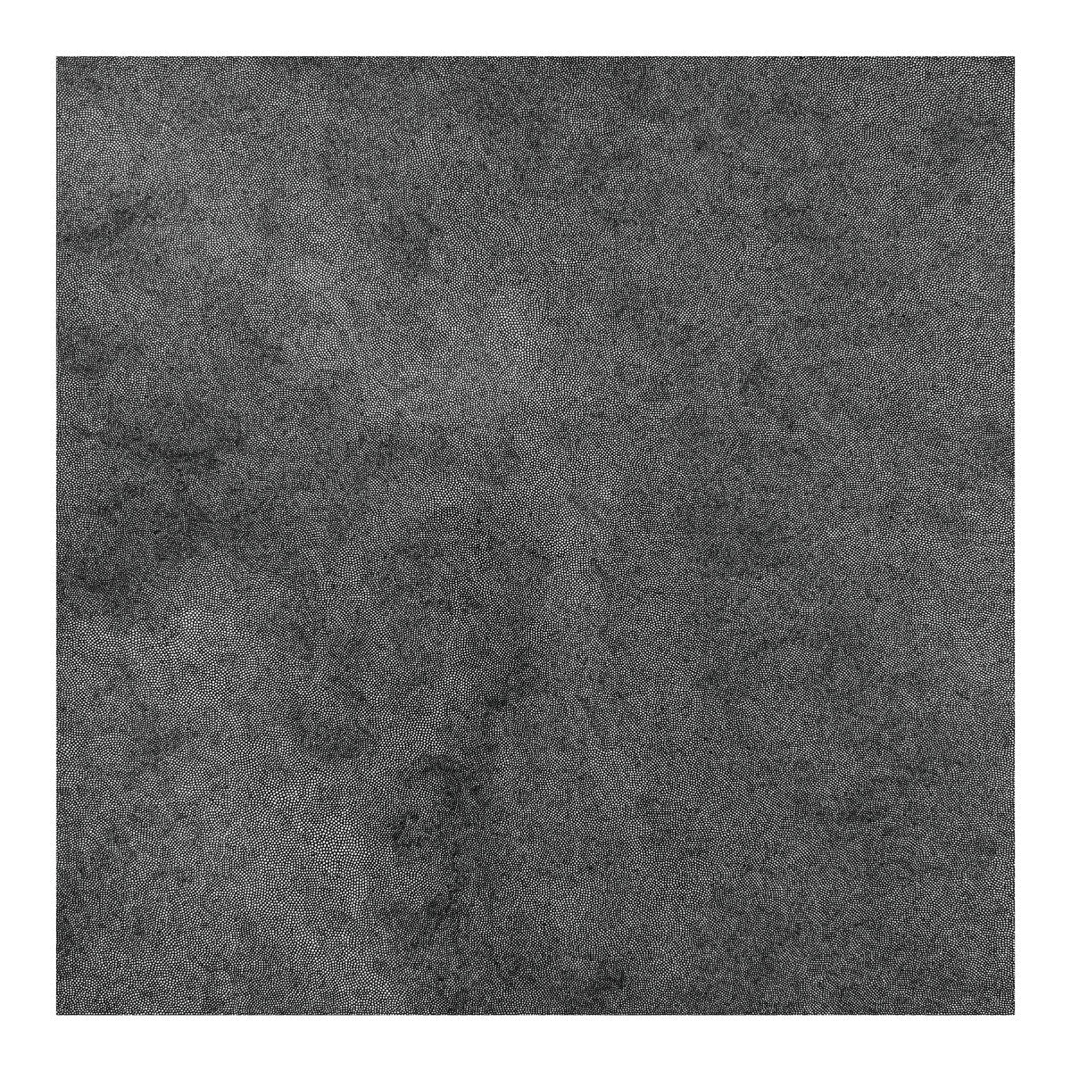 The Body & Cel Genesis- Whole Wide World PREORDER OUT 11/13