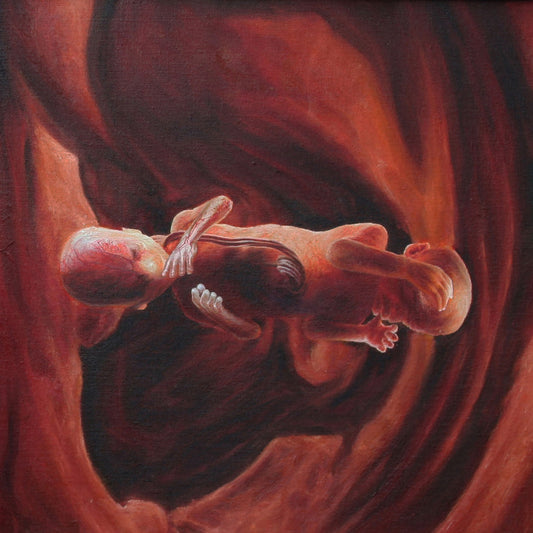 Coalesce- 0:12 Revolution In Just Listening