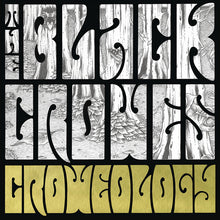 Load image into Gallery viewer, The Black Crowes- Croweology