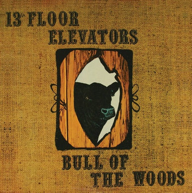 13th Floor Elevators- Bull Of The Woods