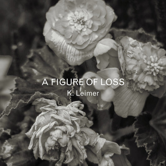 K. Leimer- A Figure Of Loss