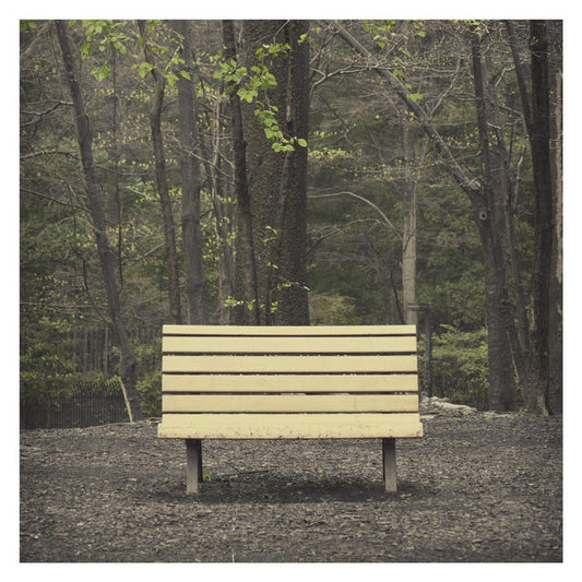 Streetlight Manifesto- The Hands That Thieve