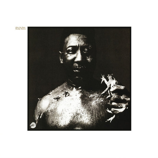 Muddy Waters- After The Rain