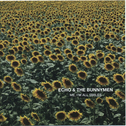 Echo & The Bunnymen- Me, I'm All Smiles