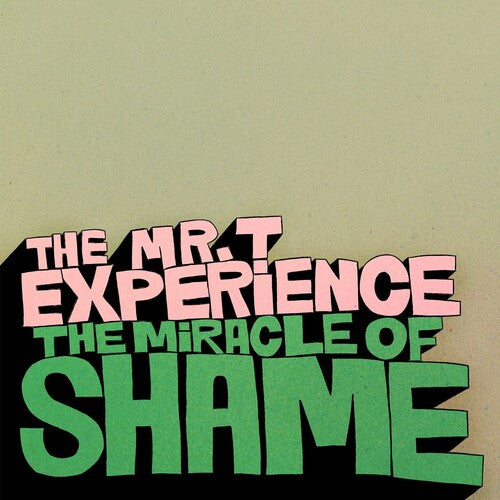 Mr. T Experience- The Miracle Of Shame
